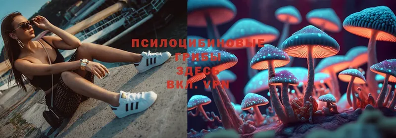 Псилоцибиновые грибы Magic Shrooms Краснослободск